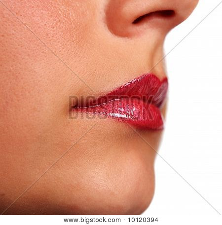 Lips