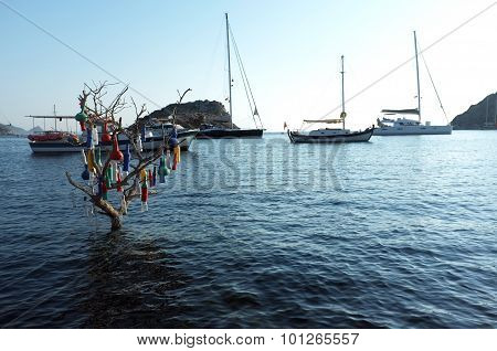 Anchored yachts on the bay