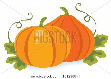 Two Pumpkins With Leaves