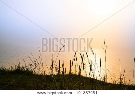 Magical Light From The Sun Over A Lake In The Morning
