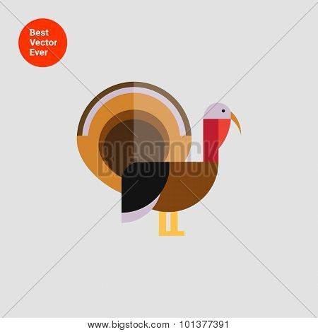 Turkey icon