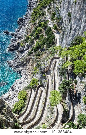 Capri Island In  Italy