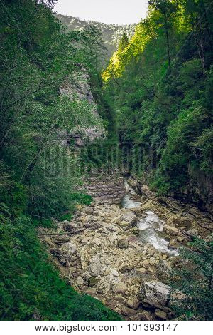 Guam gorge into wild nature