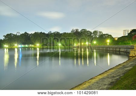 Macritchie Reservoir with trees by night