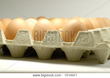 Egg7