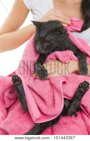 Cute Soggy Cat After Bath