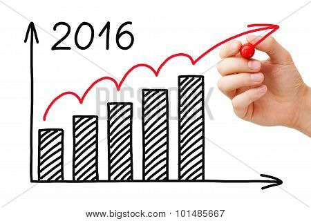 Growth Graph Year 2016 Concept