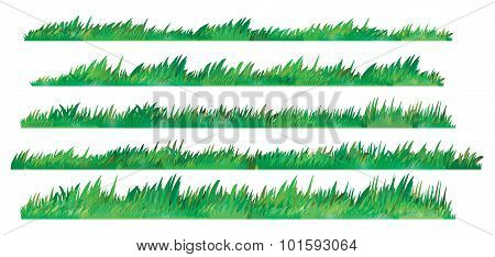 Green Grass Set Isolated On White Background Vector Illustration