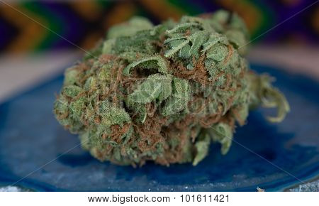 Papaya Medical Marijuana