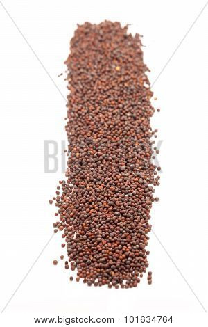 Row of Organic brown mustard.