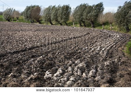 Fertile Soil