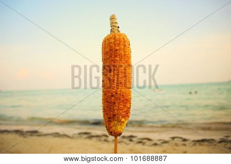 Corn Sea