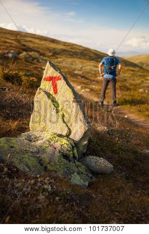 T sign on rock and hiker with backpack traveling in Norway mountains Dovre