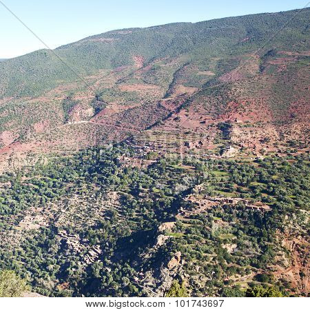 The    Dades Valley In Atlas Moroco Africa Ground Tree  And Nobody