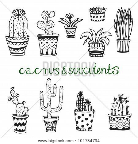 Hand drawn succulent and cactuse set. Doodle florals in pots. Vector botanical set with cute house i