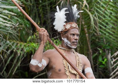 Portrait Of The Asmat Warrior