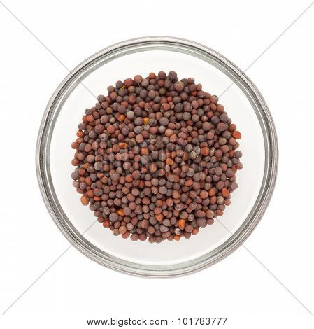Half filled brown mustard in bowl top view.