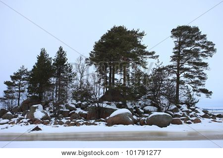 Finsky gulf of the Baltic sea in winter
