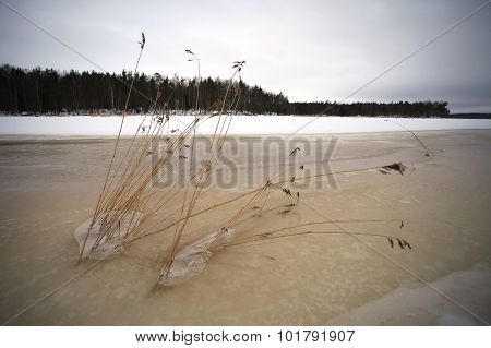 Finsky gulf of the Baltic sea in winter