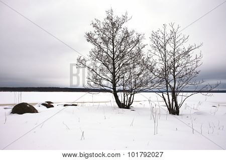 Finsky gulf of the Baltic sea in winter