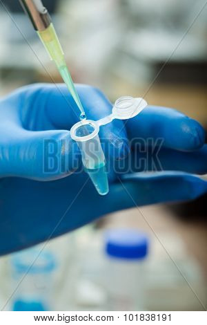 Scientist filling test tube science lab