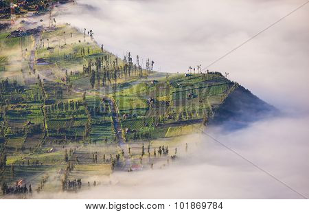 Village And Cliff At Bromo Volcano In Tengger Semeru, Java, Indonesia