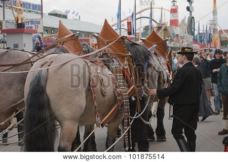 Oktoberfest Horses