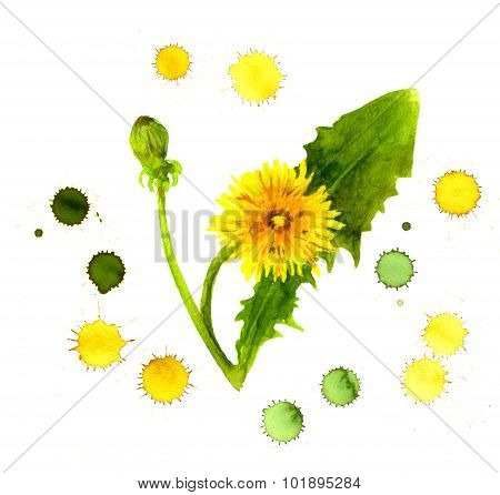 Creative painting of yellow dandelion in color spray droplets