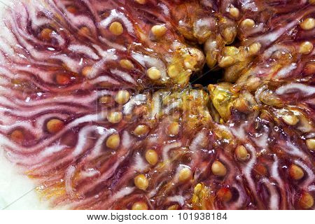 Macro Shot Inside A Fig, Abstract Background Texture