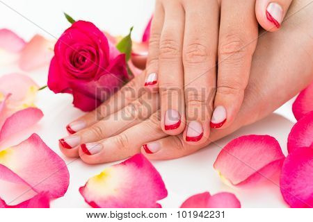 Female Hands With Manicured Nail Varnish