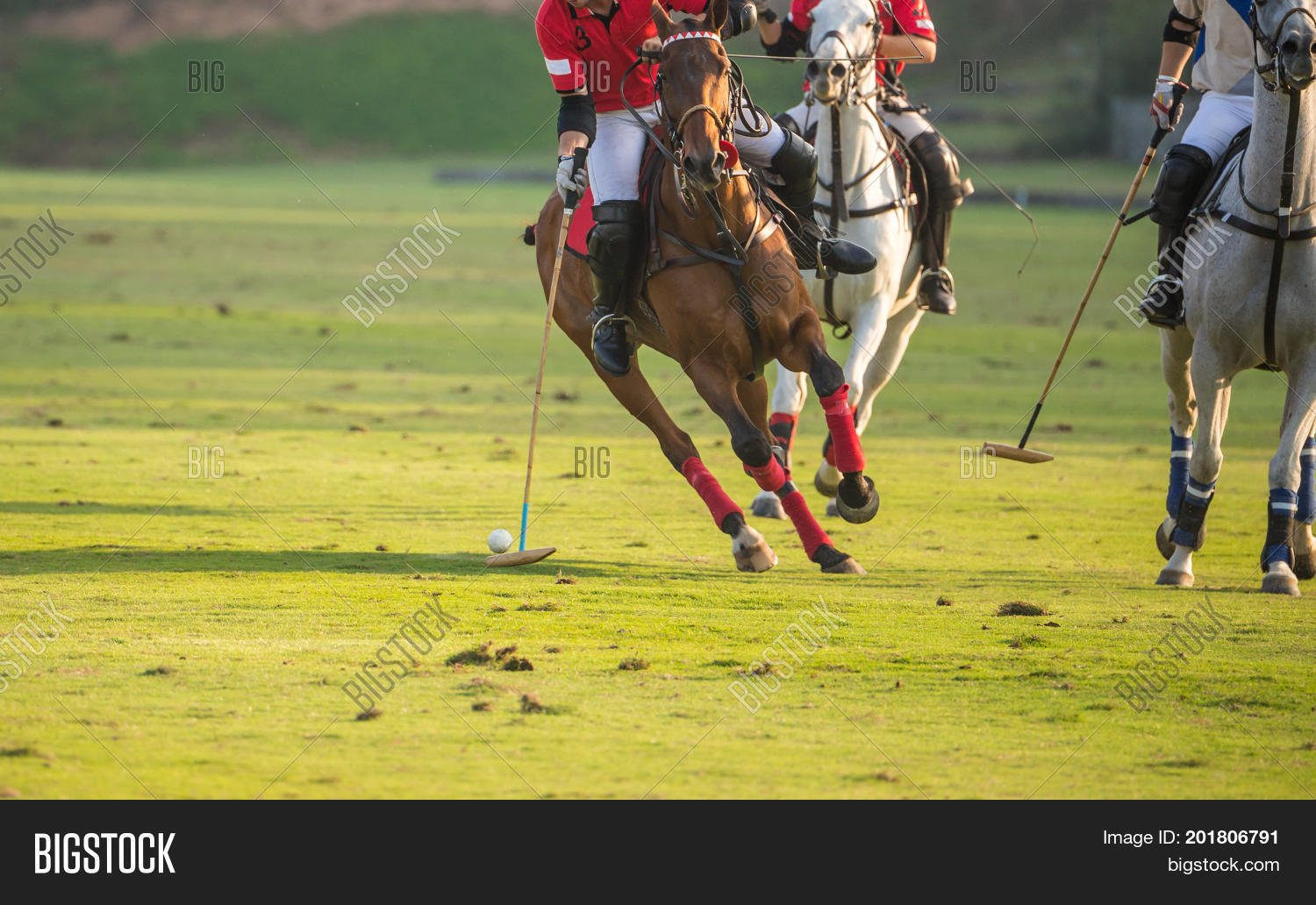Polo Player Hit Polo Image & Photo (Free Trial) Bigstock