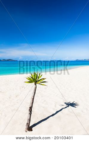 Tropical Beach Malcapuya