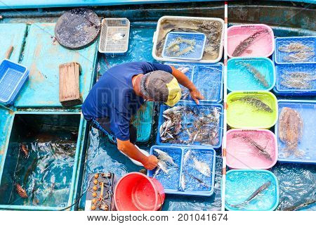 Floating Seafood Market In Sai Kung, Hong Kong