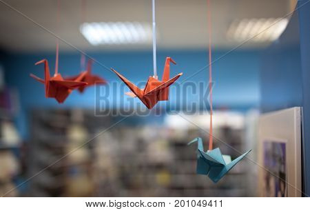 Close-up of colorful folded origami birds hanging in book store.