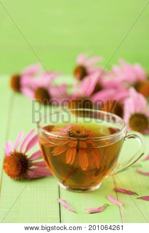 Cup of echinacea tea on green wooden table.