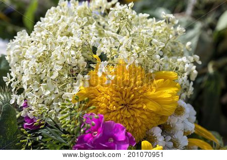 handmade beautiful bouquets from flowers and herbs