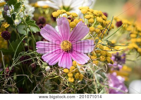 handmade beautiful bouquets from flowers and herbs
