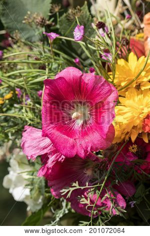 handmade beautiful bouquets from flowers and herbs