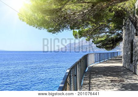 Concrete path by the sea. Photographed in the summer.