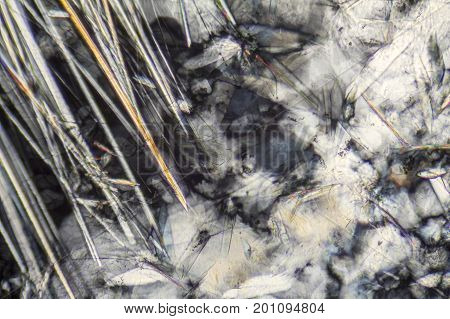 colorful microscopic shot of Sodium dodecyl sulfate microcrystals in polarized light