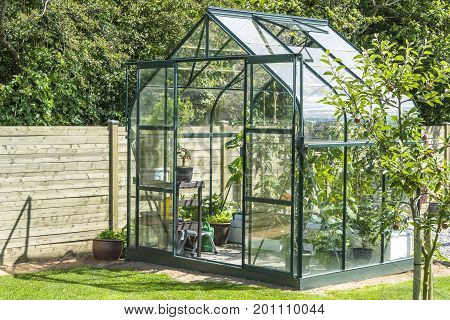 Greenhouse in a garden near a wooden fence in the summer with an apple tree