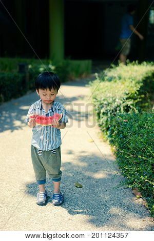 Asian boy was eating his favourite watermelon fruit in sunny garden joyful moment