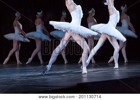 amusement, passion, beauty concept. gracefull and tender girls, ballet dancers, dressed in white costumes of beautiful swans for performing world known ballet swan lake
