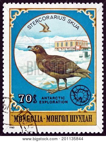 MONGOLIA - CIRCA 1980: a stamp printed in Mongolia shows Great Skua Stercorarius Skua is a Large Seabird circa 1980