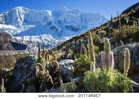 Beautiful mountains landscapes in Cordillera Huayhuash, Peru, South America
