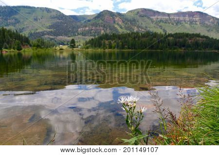 Summer at Haviland Lake in Durango, CO