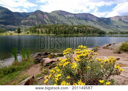 Summer at Haviland Lake in Durango, CO
