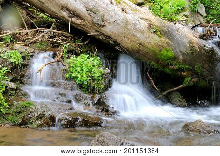 Creek at Elwood Pass in Pagosa Spring, Colorado