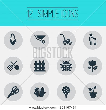 Elements Grass Cutting Machine, Maize, Parapet And Other Synonyms Vegetable, Flower And Corn.  Vector Illustration Set Of Simple Garden Icons.