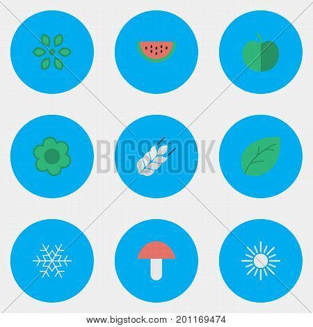 Elements Corn, Fungus, Melon And Other Synonyms Flower, Wheat And Fungus.  Vector Illustration Set Of Simple Gardening Icons.